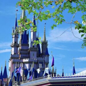 Tour Magic Kingdom